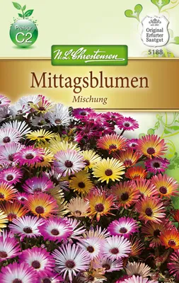 Produktbild von Mittagsblume Mischung  | Blumensamenmischung von N.L. Chrestensen