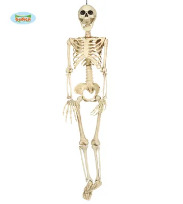 Obrázek produktu pro Kostlivec - kostra k zavěšení - HALLOWEEN - 90 cm