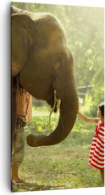 Produktbild von Bild auf Leinwand - Leinwandbild - Elefant Tier - 55x100cm - Wand Bild - Wanddeko - Wandbilder - Leinwanddruck - Bilder - Kunstdruck - Wanddekoration - Leinwand bilder - Wandkunst - PA55x100-3884