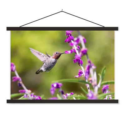 Produktbild von MuchoWow® Textilposter Kolibri - Vogel - Natur 90x60 cm mit schwarzem Rahmen - Aufhängungssatz