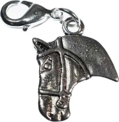 Produktbild von Pferdekopf Charm Anhänger Bettelarmband Miniblings Cowboy Reiten Pferd silber