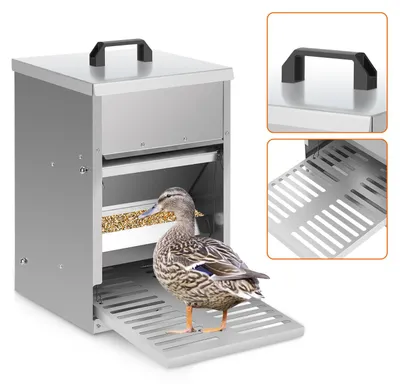 Immagine prodotto di Distributore automatico di mangime per polli ISOISL, modello da terra, capacità 5 kg, resistente agli agenti atmosferici, con apertura automatica tramite pedale