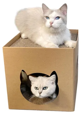 Produktbild von Atmungsaktives Katzenhaus mit Kratzmöglichkeit