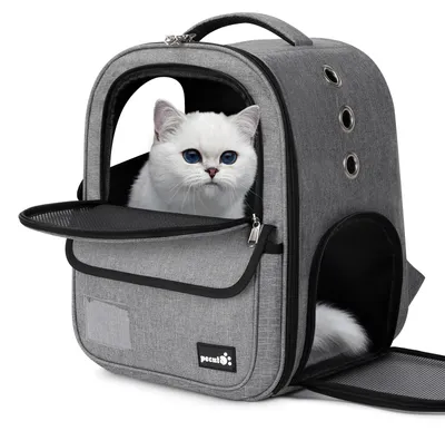 Immagine prodotto di Zaino per animali domestici pecute, capacità 6 kg, ideale per cani di piccola taglia, portatile e pieghevole
