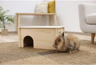 Immagine prodotto di Casetta per roditori, casetta per piccoli animali, tetto rimovibile, plastica, uso interno, per porcellini d'India