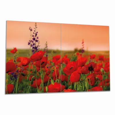 Produktbild von Wallario Herdabdeckplatte aus Glas, Größe 80 x 52 cm 2-teilig, Motiv Mohnblumen auf dem Feld