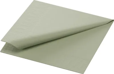 Produktbild von Duni 209656, Grün, Seidenpapier, Einfarbig, 240 mm, 240 mm, 250 Stück(e)