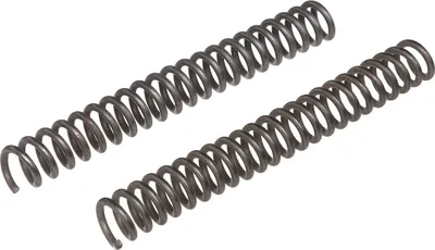 Image de Jeu: 1 ressorts pour fourche télescopique RT125 / 0