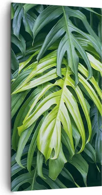 Produktbild von Bild auf Leinwand - Leinwandbild - Blume Natur - 65x120cm - Wand Bild - Wanddeko - Wandbilder - Leinwanddruck - Bilder - Kunstdruck - Wanddekoration - Leinwand bilder - Wandkunst - PA65x120-3951