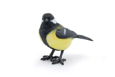 Produktbild von Papo 50287, Garden animals, Mehrfarbig