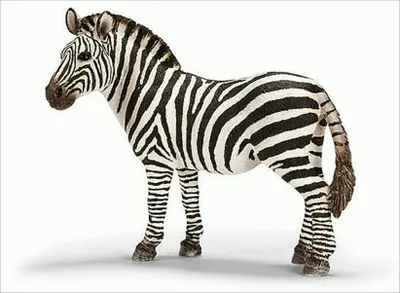 Produktbild von Schleich Zebra Stute