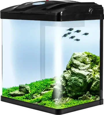 Zdjęcie produktu dla SunSun HR-320 - Akwarium zestaw czarny 19l SunSun