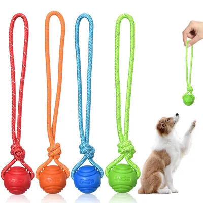 Produktbild von Hundebälle mit Seil (Set mit 4) – Natürliches Gummispielzeug für Hunde