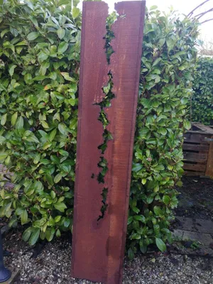 Immagine prodotto di Elemento privacy in acciaio inox Fessura a stele, 180 cm, aperta in alto