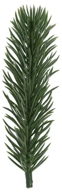 Künstliche Tannenzweige, grün, 12 cm, 15 Stück, Deko