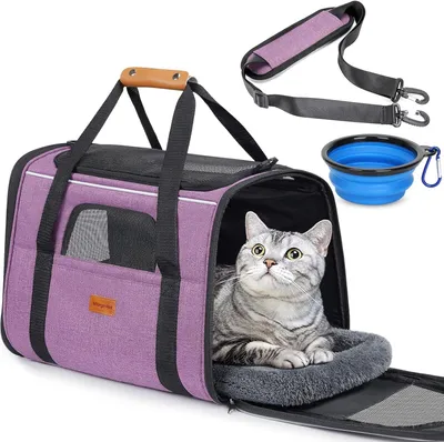 Produktbild von Morpilot Katzentransportbox Transportbox 47x32x36cm Lila Einfarbig