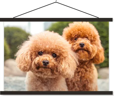 Produktbild von MuchoWow® Textilposter Eine Nahaufnahme der braunen Welpen 150x100 cm mit schwarzem Rahmen - Schlafzimmer