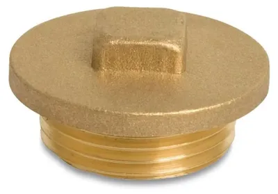 Image de Raccord fileté en laiton Bouchon 1 1/4" AG