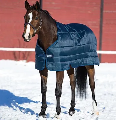 Produktbild von Horseware Liner 300 Liner Navy/Navy, Horseware Deckengröße:130 cm / 6´0