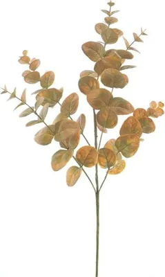 Produktbild von Warentuin Producten