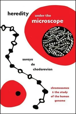 Obrázok produktu pre Heredity under the Microscope