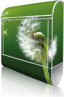 Produktbild von banjado Design Briefkasten Stahl weiß mit Zeitungsfach pulverbeschichtet "Pusteblume" 38x46x12,5cm & 2 Schlüssel - Postkasten A4 Einwurf inkl. Montagematerial [BKW 10074]