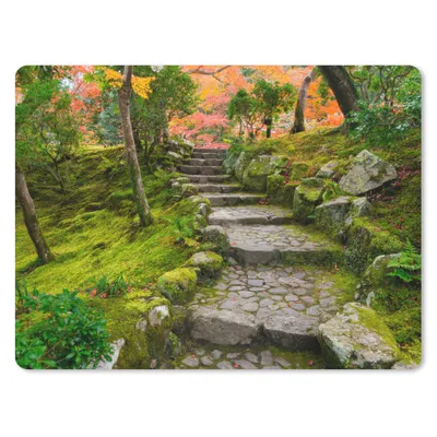 Produktbild von MuchoWow® Mauspad Mousepad Natur - Steine - Kröte - Moos - Japanisch 23x19 cm - Mousepads - Maus Mat - Pad - Mausunterlage - Schreibtischunterlage - Mauspad