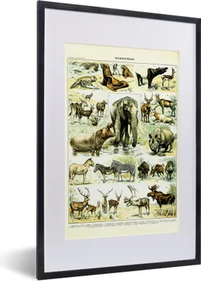 Produktbild von MuchoWow® Gerahmtes Poster Tiere - Elefanten - Hirsche 40x60 cm - Poster mit Schwarzem Bilderrahmen Wandposter Rahmen Foto Bilder - Poster in Rahmen