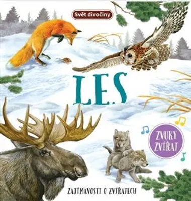 Immagine prodotto di Svojtka & Co. Welt Wildnis Wald