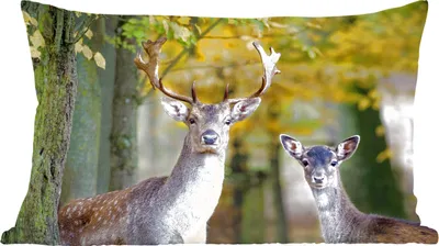 Produktbild von MuchoWow® Zierkissen Sofakissen Wohnzimmer Dekokissen 50x30 cm Hirsche - Tiere - Baum - Wohnzimmerdekoration - Polster mit Photo
