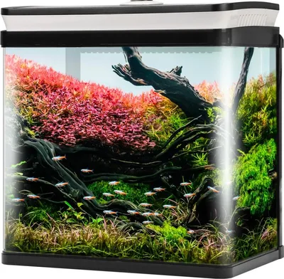 Produktbild von SunSun HGR-300 - Aquarium Set Schwarz 14l