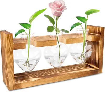 Produktbild von Glass Propagation Station, herzförmige Glasvasen, mit Holzständer, für hydroponische Pflanzen