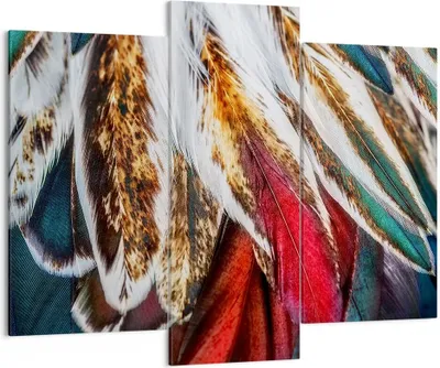 Produktbild von Bild auf Leinwand - Leinwandbild - Federn Federn Vogel - 130x100cm - Wand Bild - Wanddeko - Leinwanddruck - Bilder - Kunstdruck - Wanddekoration - Leinwand bilder - Wandkunst - CB130x100-3743