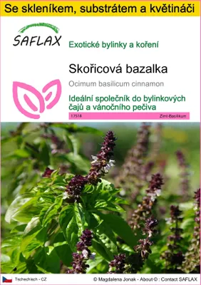 Obrázek produktu pro SAFLAX Kultivační sada - Skořicová bazalka - Ocimum basilicum cinnamon - 200 Semena - S mini skleníkem, pěstebním substrátem a 2 květináči