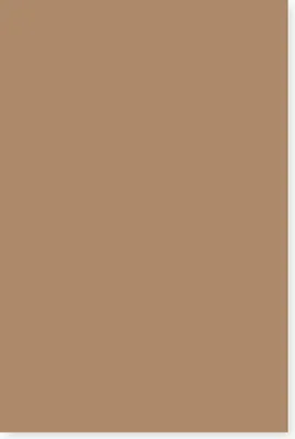 Produktbild von Tonkarton,  50 x 70 cm, 220 g/m² Hellbraun