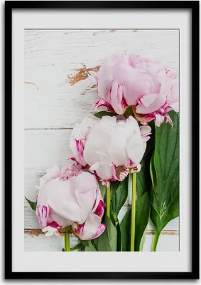Produktbild von Bild - Bilderrahmen - Foto - 70 cm x 100 cm - MDF - Rahmen - Wandkunst - Pfingstrose