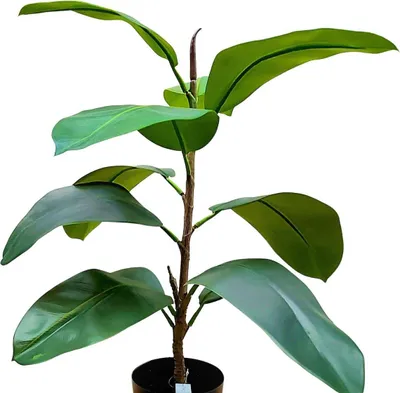 Produktbild von artplants.de Kunst Gummibaum FRODELINDE, Kunststamm, grün, 60cm - Deko Gummibaum