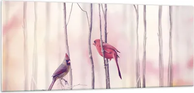 Produktbild von Bilder auf glas - Einteilig - Vögel Kardinal Scharlachrot - 100x40cm - Glasbilder - Wandbilder - Bilder - Wanddekoration aus Glas - Glas Bilder - Wandbild auf Glas - GAB100x40-4256