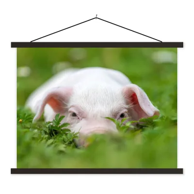Produktbild von MuchoWow® Textilposter Schwein - Tiere - Groß 60x45 cm mit schwarzem Rahmen - Poster Schlafzimmer
