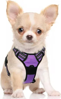 Produktbild von Famanu Hundegeschirr, anti-Zieh-Design, reflektierend und atmungsaktiv - Verstellbar für kleine bis große Hunde