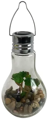 Produktbild von LED Glas Glühbirne zum Hängen mit Sukkulente Ø 9 x H 18 cm