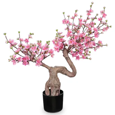 Image de Fleurs artificielles de cerisier pour la décoration printanière