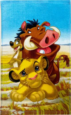 Produktbild von Disney König der Löwen Pride Lands Trio Handtuch 30x50