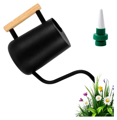 Produktbild von Gießkanne für Zimmerpflanzen, 1L Edelstahl-Gießkanne mit langem Auslauf und Holzgriff, kleine Gießkanne für Garten, Zimmerpflanzen, Sukkulenten, Bonsai und Blumen