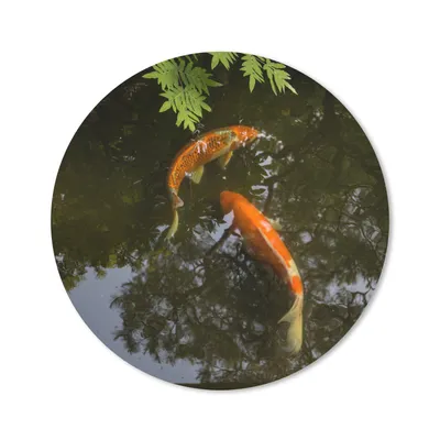 Produktbild von MuchoWow® Mauspad Mousepad Zwei Koi-Karpfen um einen Teich 50x50 cm - Mousepads - Maus Mat - Pad - Mausunterlage - Vinyl