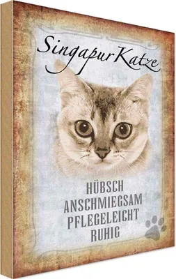 Produktbild von vianmo Holzschild 30x20 cm Singapur Katze Tier Haustier