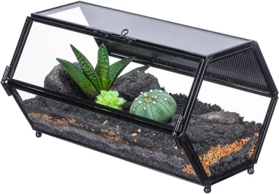 Zdjęcie produktu dla Szkło terrarium z kratką i drzwiczkami, wymiary 20x12x10,79 cm, przeznaczone dla małych owadów
