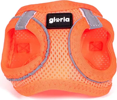 Obrázek produktu pro Postroj pro psy Gloria Trek Star 27-28 cm 31-34,6 cm oranžový XS