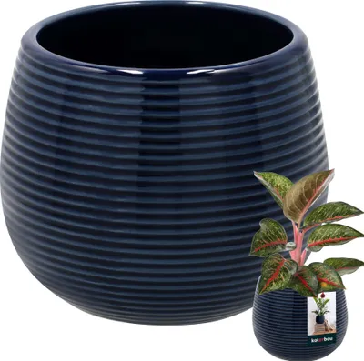 Obrázek produktu pro KOTARBAU® Květináč kobaltově modrý keramický kulatý ⌀ 12 cm výška 14 cm Glazovaná keramika 1 ks. Květináč velký květináč keramický květináč keramický květináč keramický květináč keramický květináč keramický květináč keramický