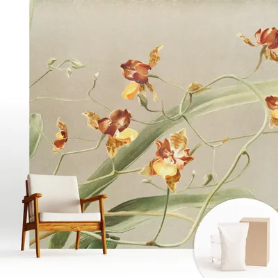 Produktbild von Fototapete - 250x250 cm - Tapete - Wandtapete - Wandbilder - Dekofolie - Tapete Folie - Wand - Dekoration - Wohnzimmer - Klassische Orchideen